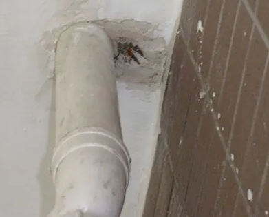 梁子湖漏水检测哪家好